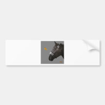 Horse and butterfly bumper stickers