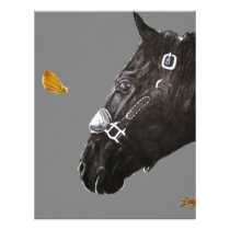 Horse and butterfly personalized letterhead