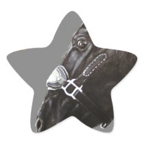 Horse and butterfly star sticker