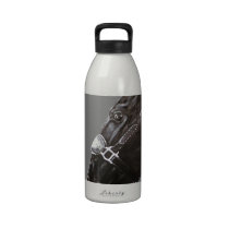 Horse and butterfly water bottle
