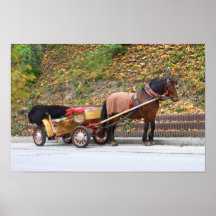 Horse and carriage Poster