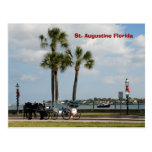 horse and carriage st augustine florida post card