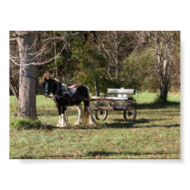 Horse and Cart posters