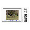 Horse and Cart, www.mysticdreamllc.com postage