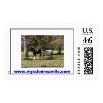 Horse and Cart, www.mysticdreamllc.com postage