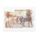 Horse and Chariot postcards