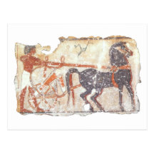 Horse and Chariot Postcard