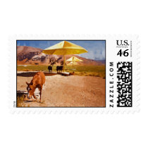 Horse and Christo's Umbrella Project postage
