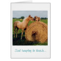 Horse and Dog Keeping in Touch cards