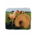 Horse and Dog Meeting t-shirts by BowNRanch Horse and Dog Meeting t-shirts