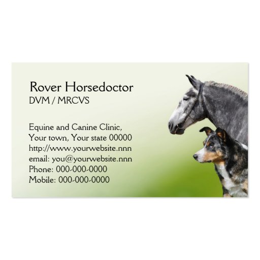 Horse and dog vet appointment and business card (front side)