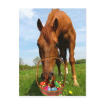 Horse and Easter Basket Postcard
