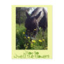 Horse and flowers post cards
