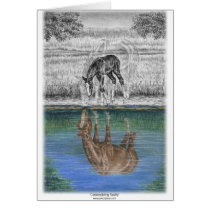 Horse and Foal - Horse Water Reflection Greeting Cards