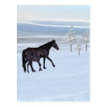 Horse and foal in the snow fantasy post card