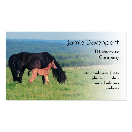 Horse and Foal on a meadow Business Card