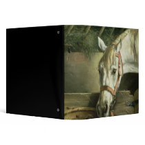 Horse and kittens, 1890 vinyl binders