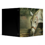 Horse and kittens, 1890 binders