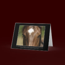 Horse and poem Greeting Cards or Note Cards by RavenSpiritPrints Horse and poem Greeting Cards or Note Cards