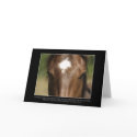 Horse and poem Greeting Cards or Note Cards by RavenSpiritPrints Horse and poem Greeting Cards or Note Cards