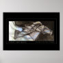 Horse and Rider Posters