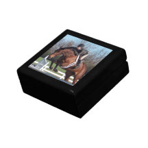 Horse and Show Jumping Gift Box