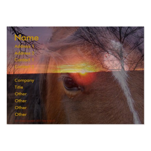 Horse and Sunrise Business Card (front side)