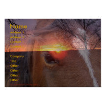 Horse and Sunrise Business Card