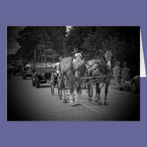 horse art 10 cards