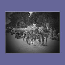 horse art 10 postcards