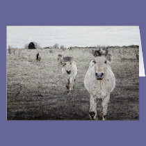 horse art 1 cards