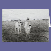 horse art 2 cards