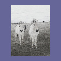 horse art 2 postcards