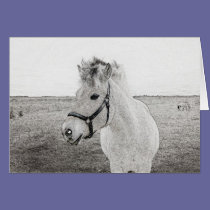 horse art 3 cards