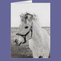 horse art 3 cards
