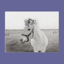 horse art 3 postcards