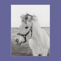 horse art 3 postcards