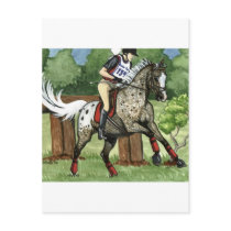 Horse Art APPALOOSA Eventing Postcards