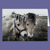 horse art cards