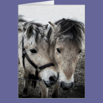 horse art cards