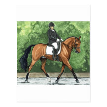 Horse Art Dressage Horse Bay Trotting Postcard