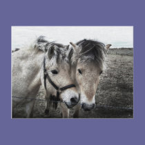 horse art postcards