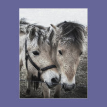 horse art postcards