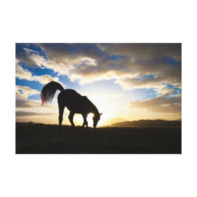 Horse at sunrise canvas prints
