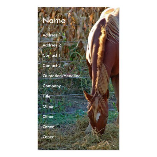 Horse at Sunset Business Cards (front side)