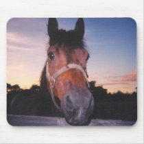 Horse at Sunset mousepads by malibuitalian Horse at Sunset mousepads