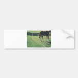 horse at the fence bumper sticker