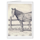 Horse at the Fence Greeting Cards