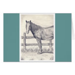 Horse at the Fence Greeting Card