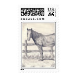 Horse at the Fence Postage